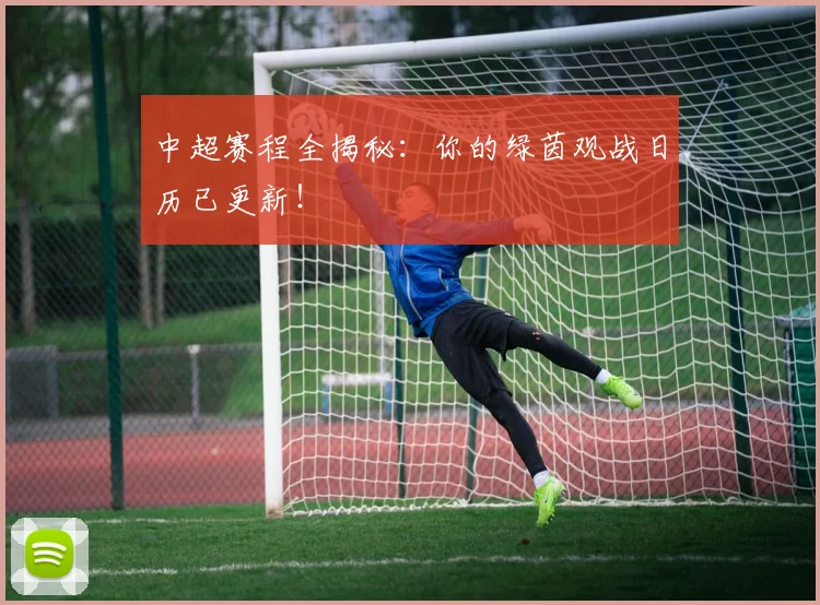 中超赛程全揭秘：你的绿茵观战日历已更新！